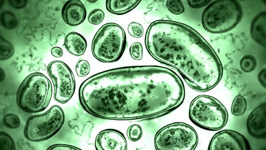 WaterPathogens