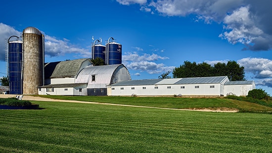 Commercial Husbandry Farm